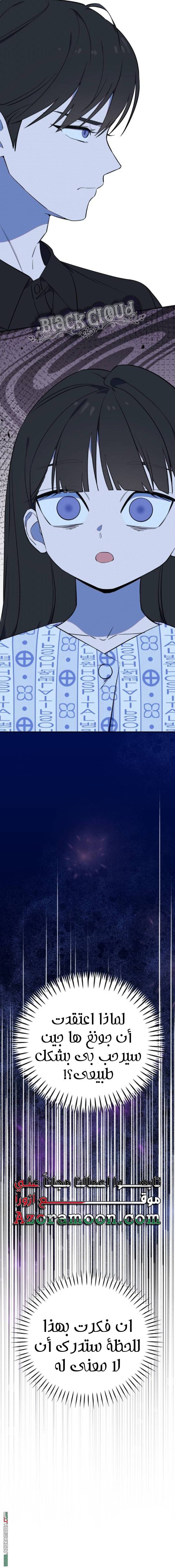 الصفحة 13