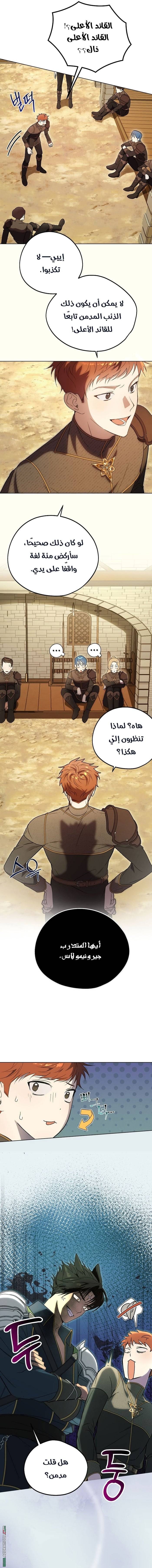 الصفحة 19