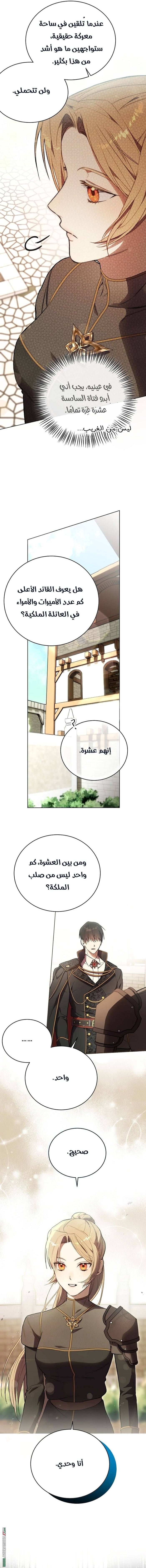 الصفحة 14