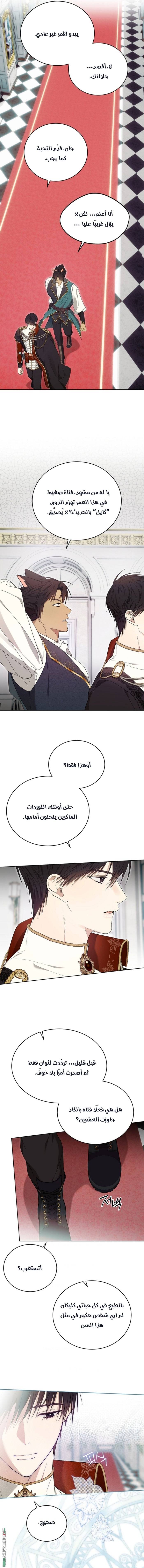 الصفحة 14