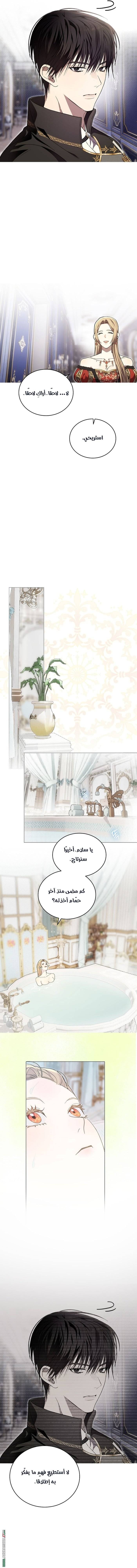 الصفحة 14