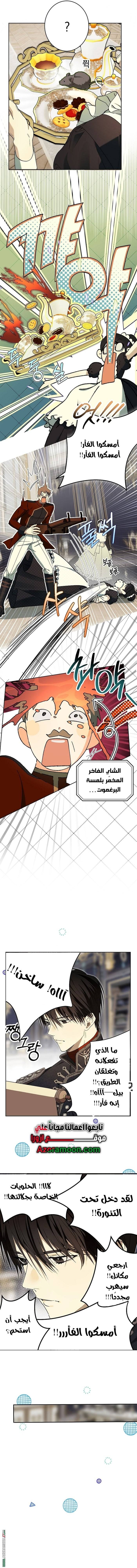 الصفحة 13