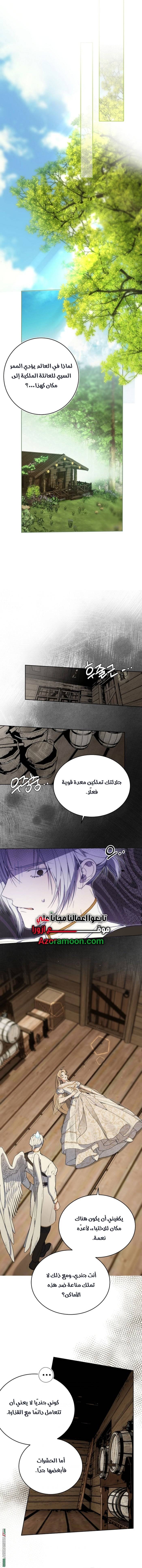 الصفحة 13