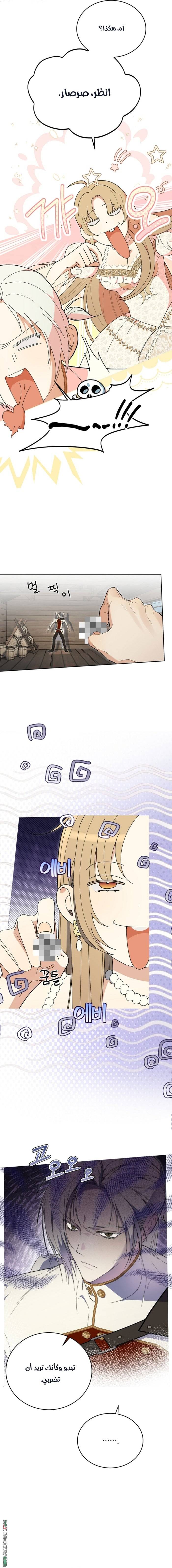 الصفحة 14