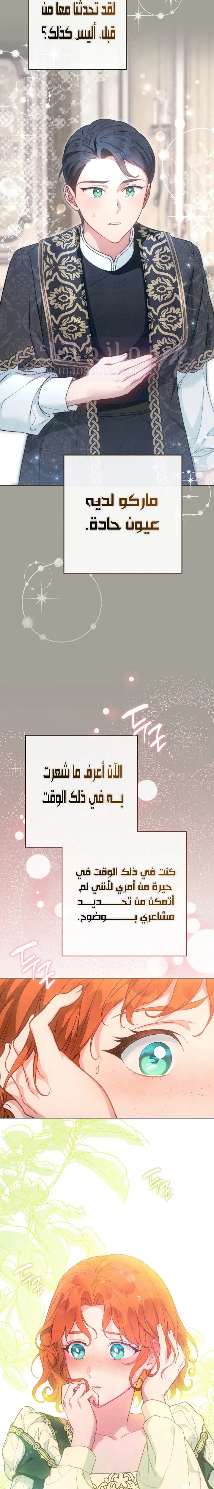 الصفحة 17