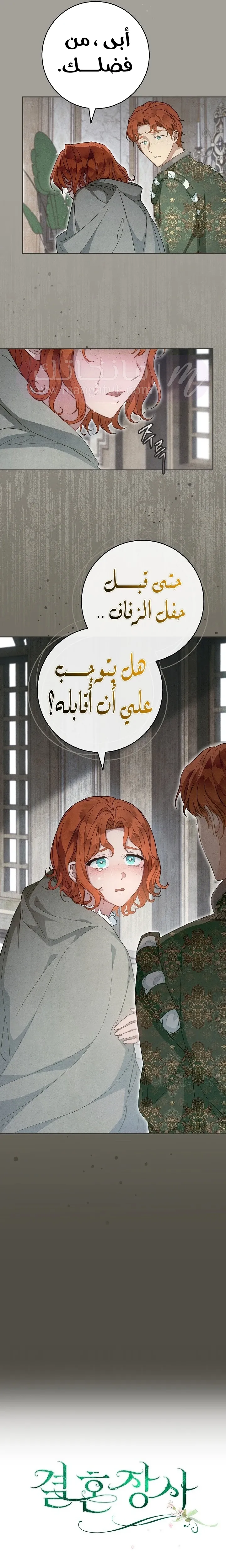 الصفحة 27