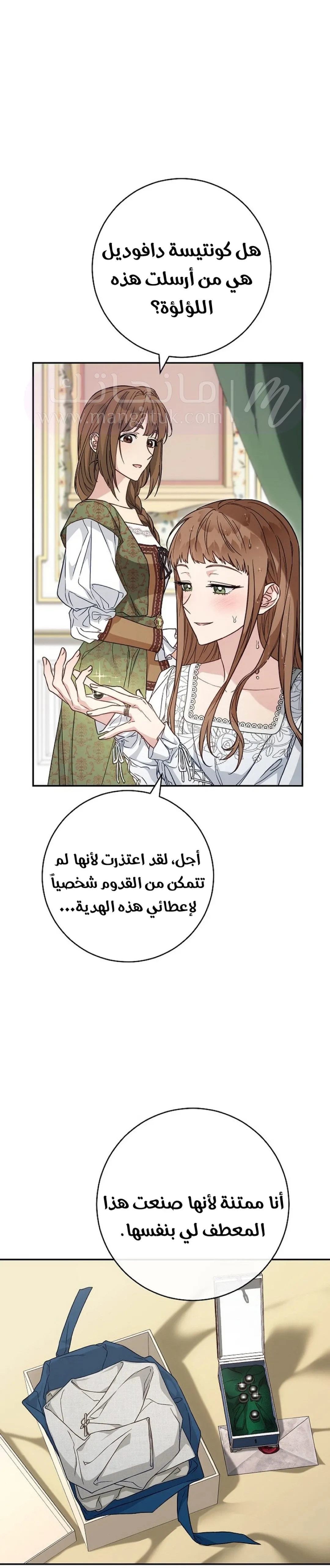 الصفحة 25