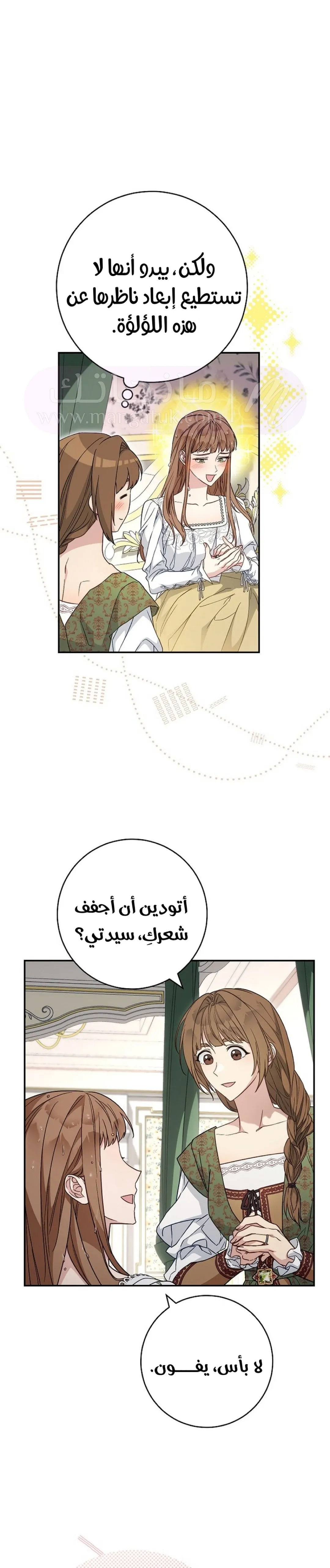 الصفحة 26