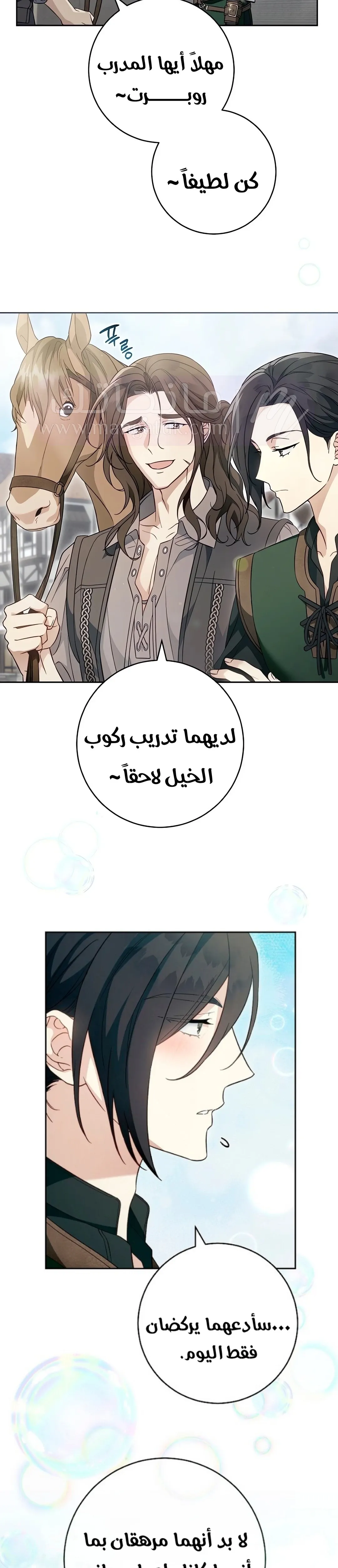 الصفحة 14