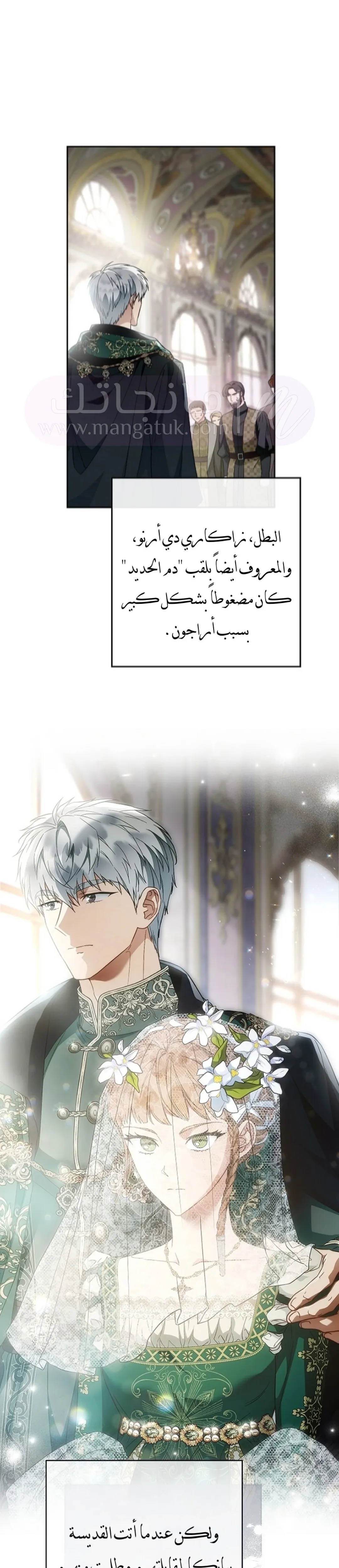 الصفحة 29