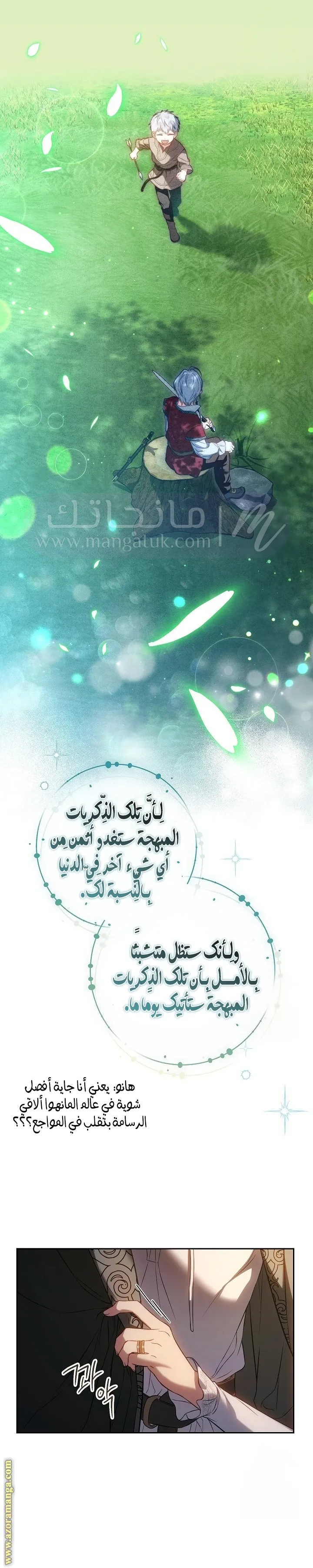 الصفحة 17