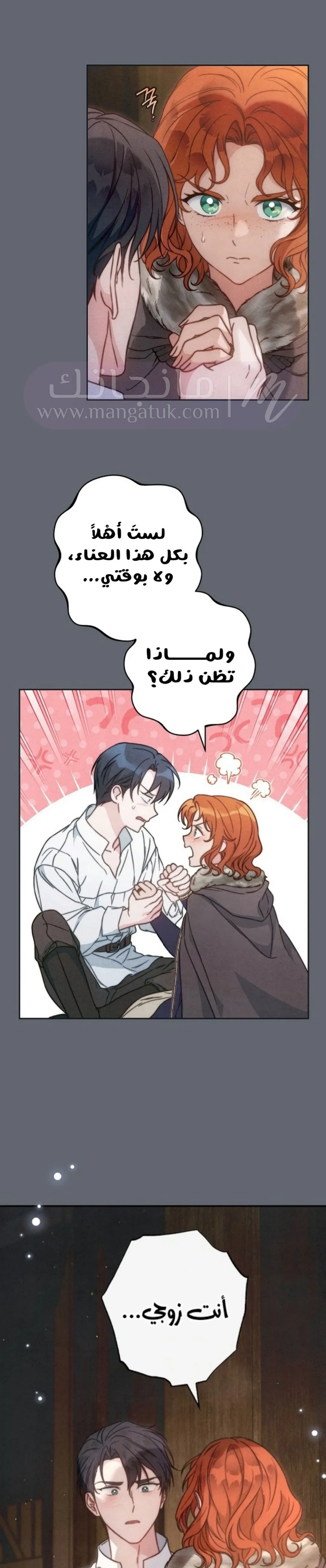 الصفحة 12