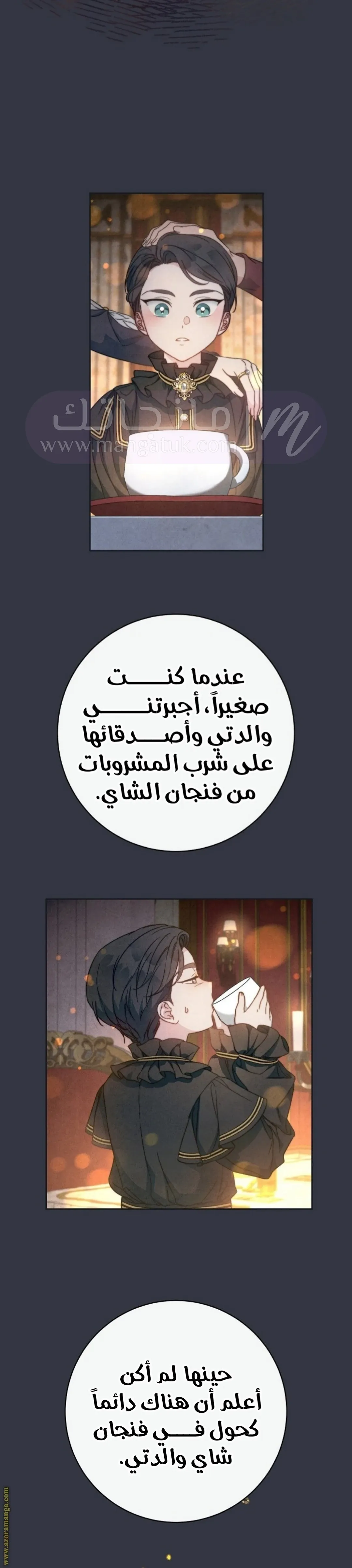 الصفحة 16
