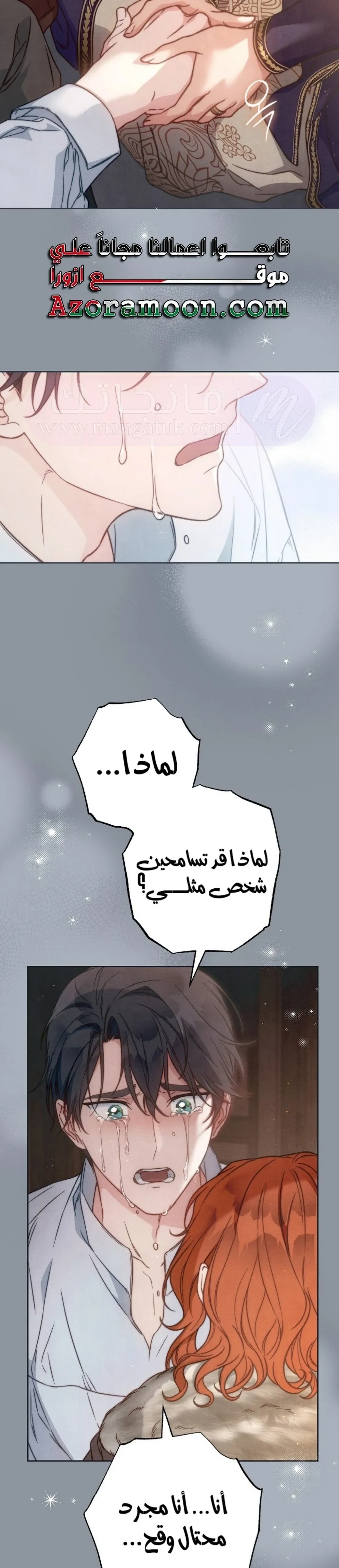 الصفحة 26