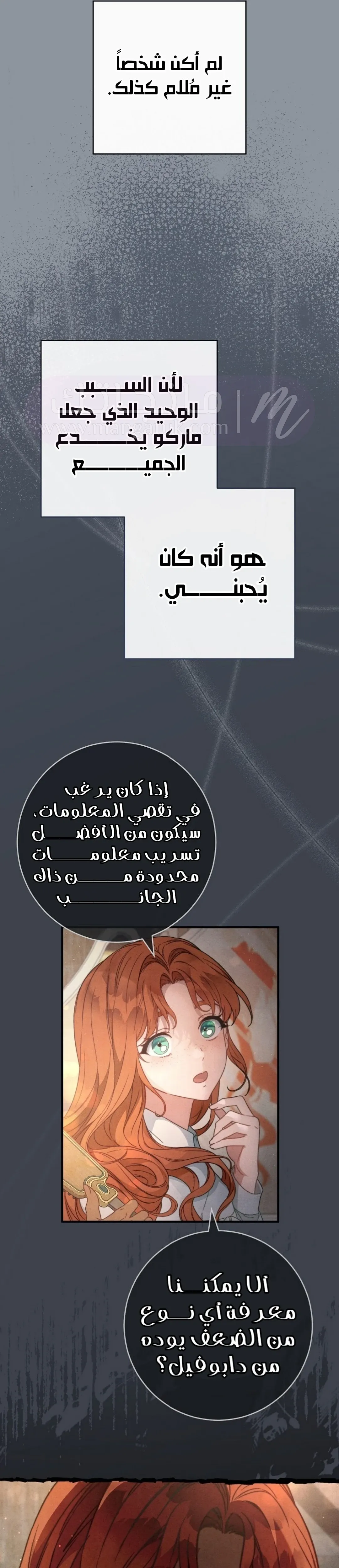 الصفحة 29