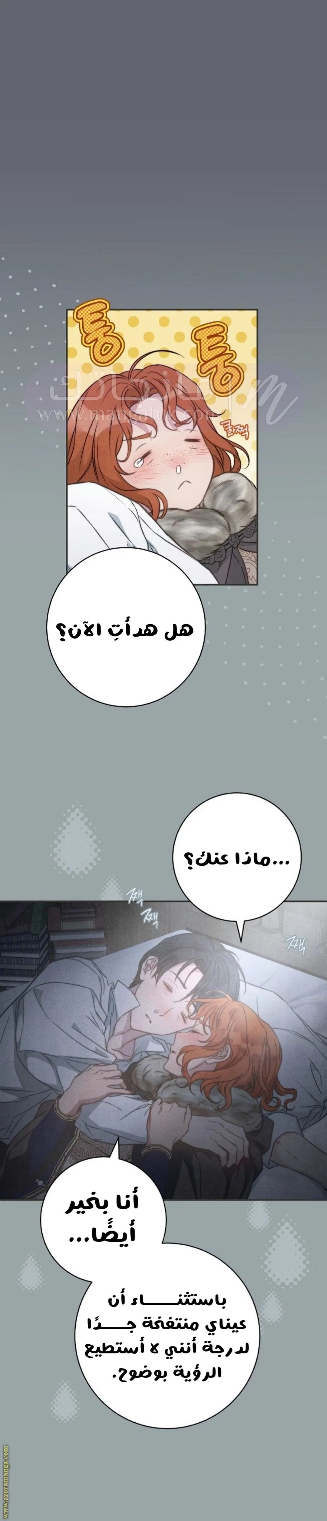 الصفحة 35