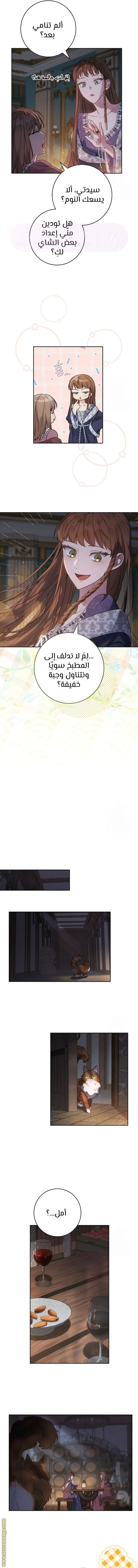 الصفحة 8