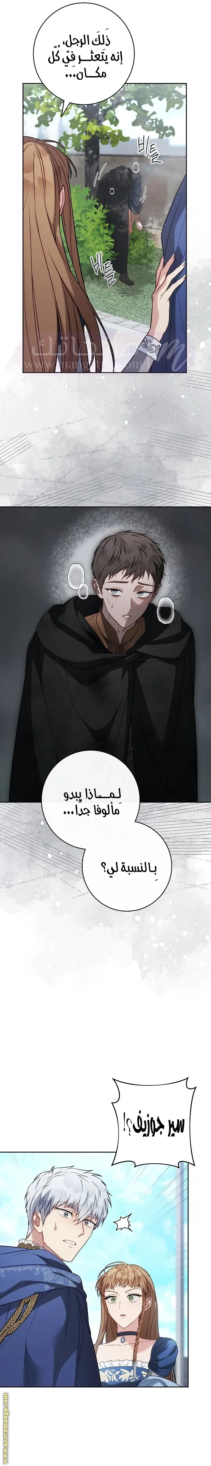 الصفحة 27