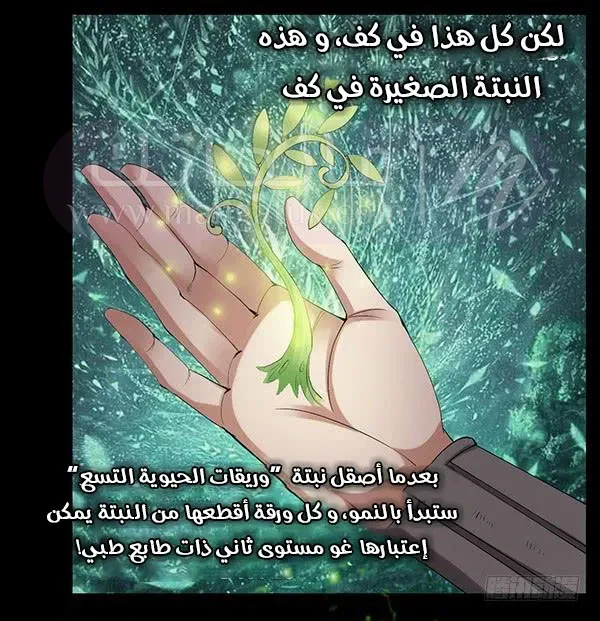 الصفحة 8