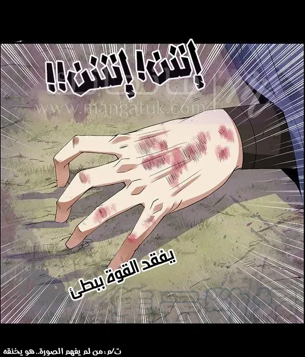 الصفحة 17
