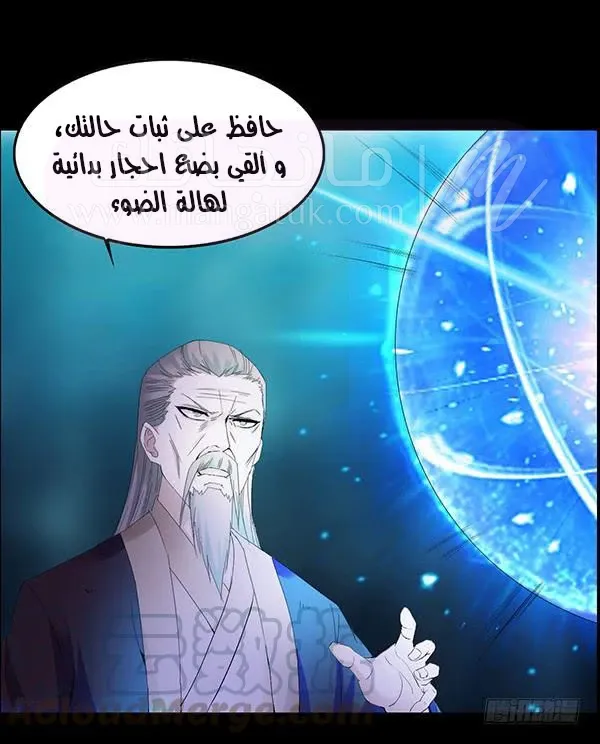 الصفحة 13