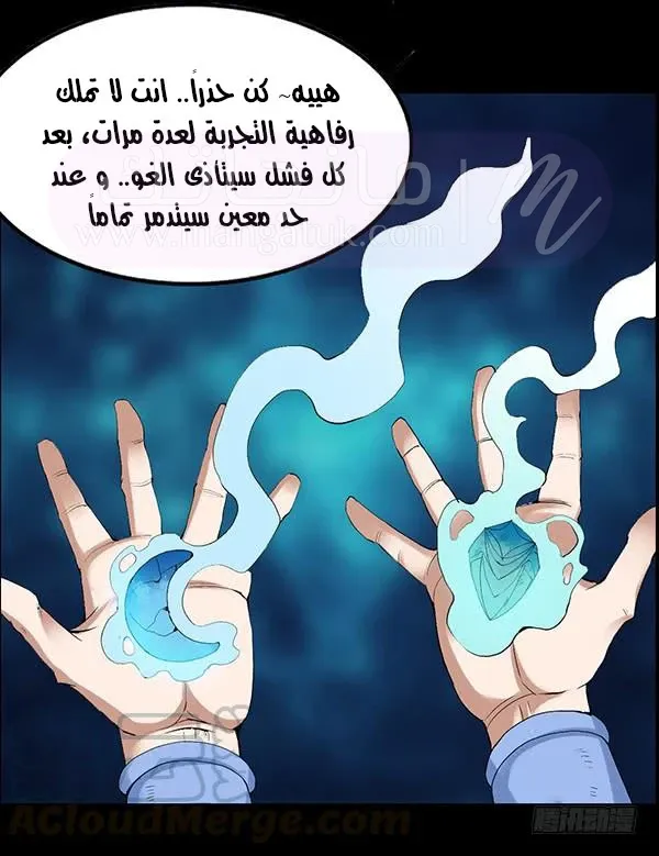الصفحة 17