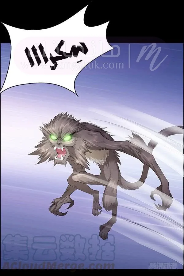 الصفحة 29