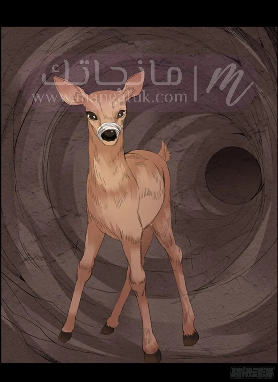 الصفحة 16