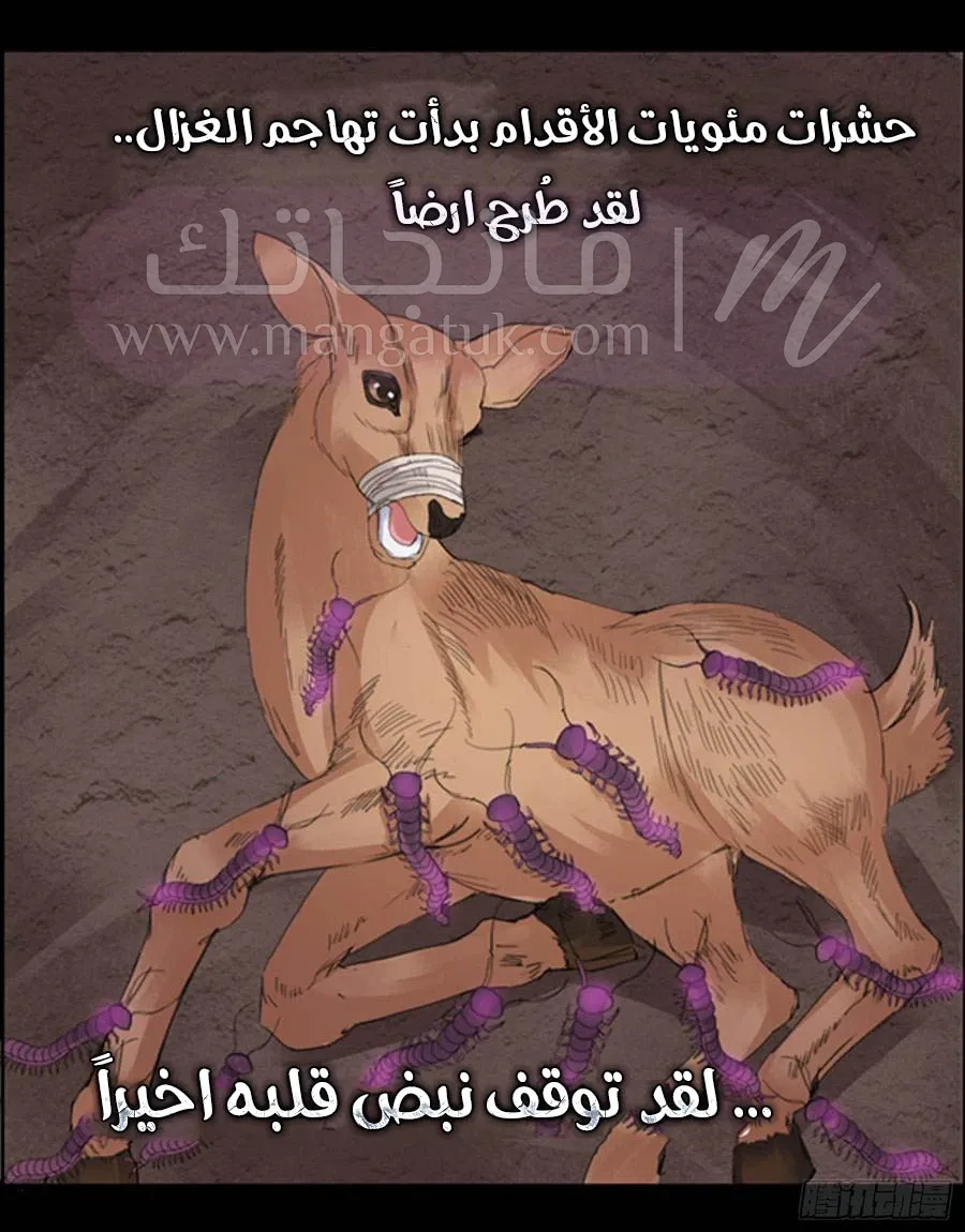 الصفحة 19