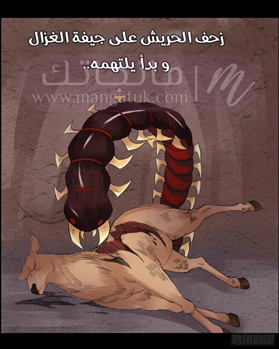 الصفحة 22