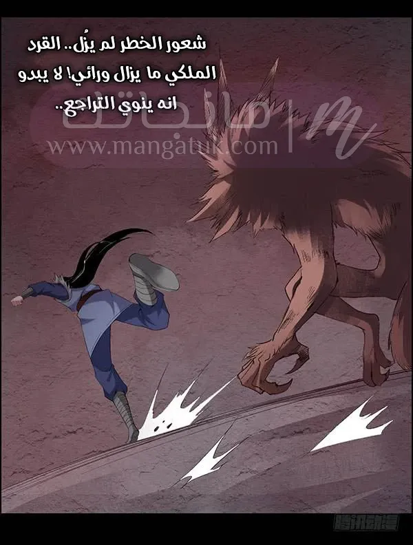الصفحة 24