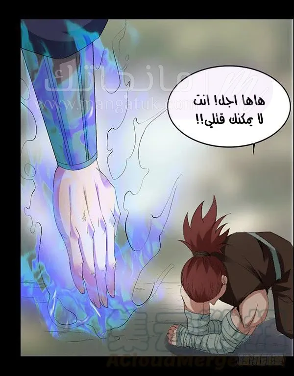 الصفحة 17