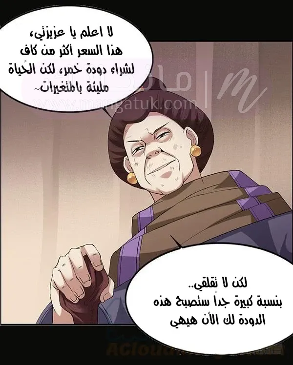الصفحة 17