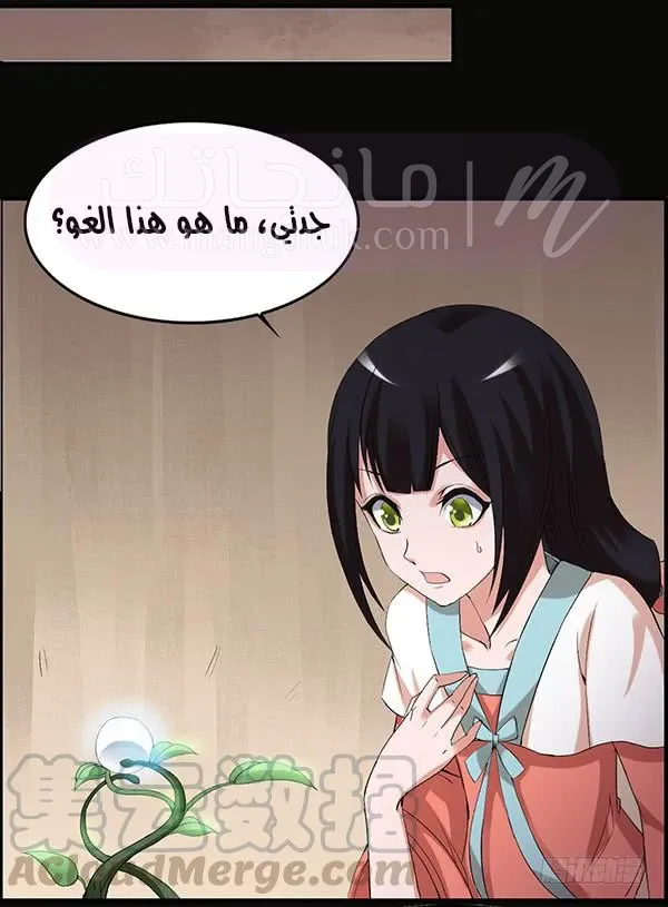 الصفحة 21