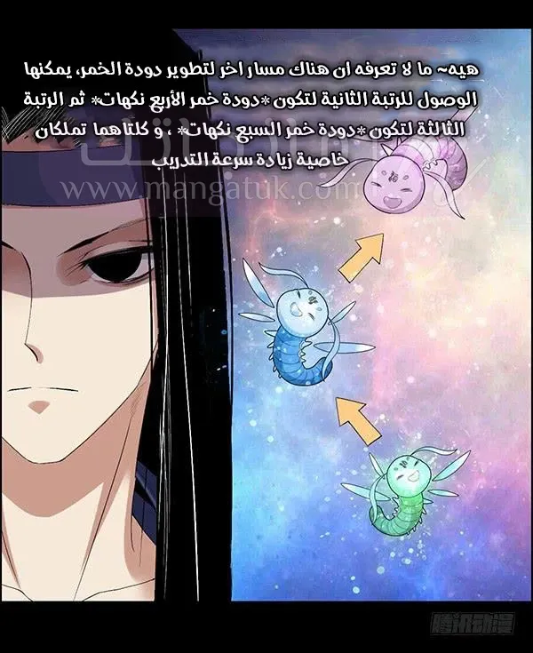 الصفحة 14