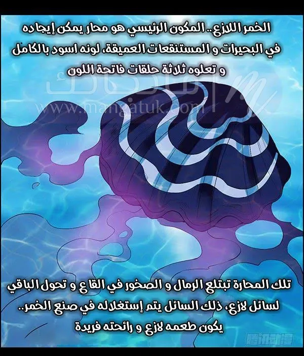 الصفحة 24