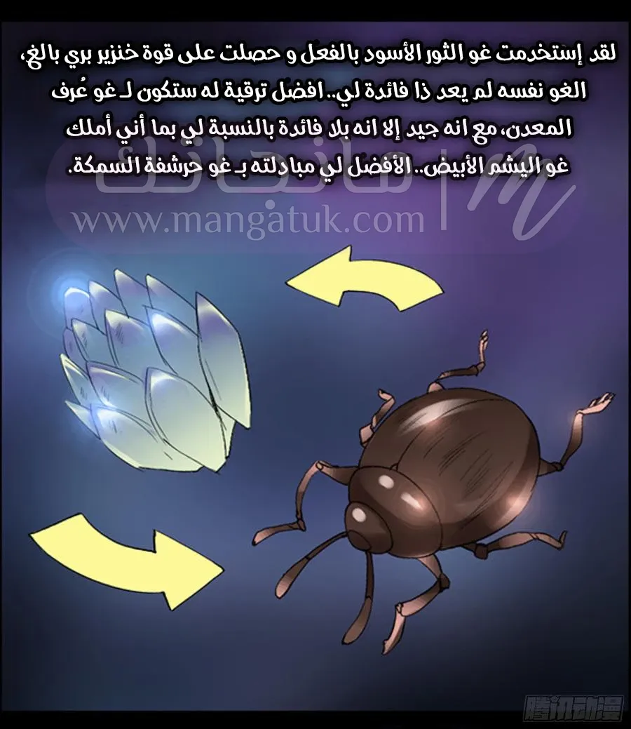 الصفحة 27