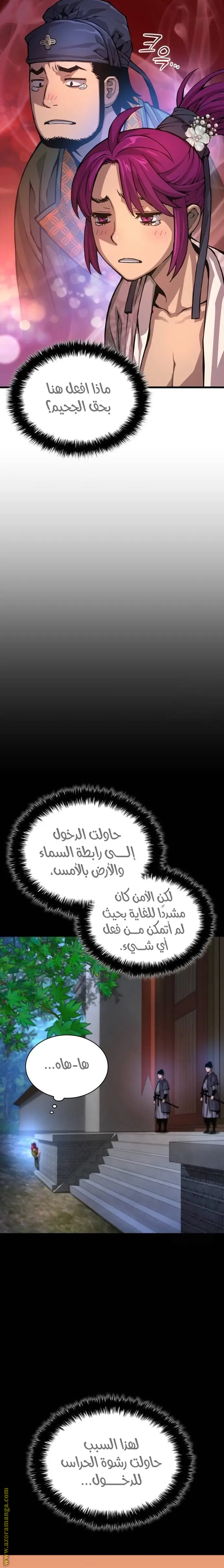 الصفحة 17