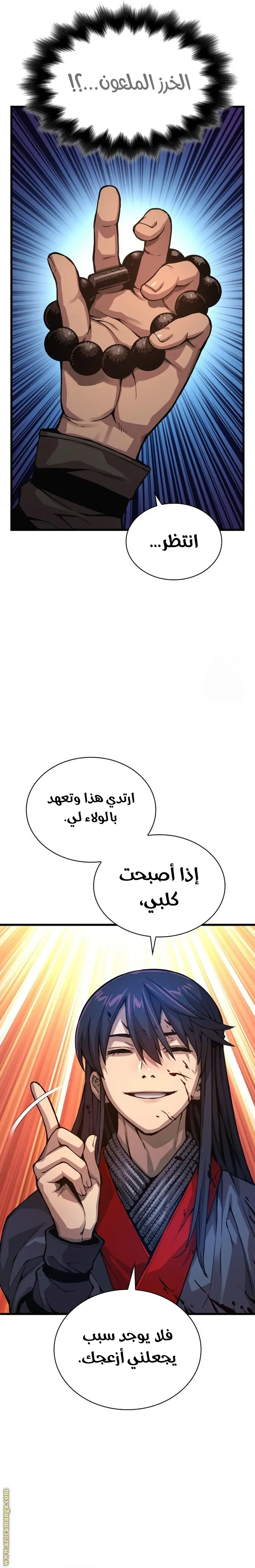 الصفحة 25