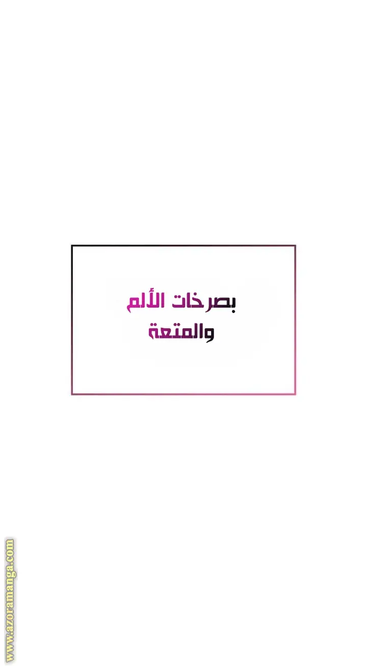 الصفحة 102
