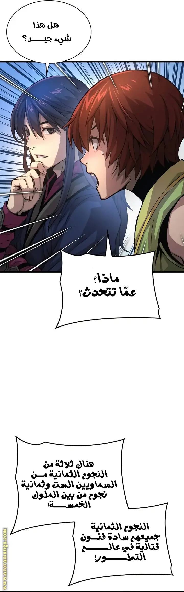 الصفحة 13