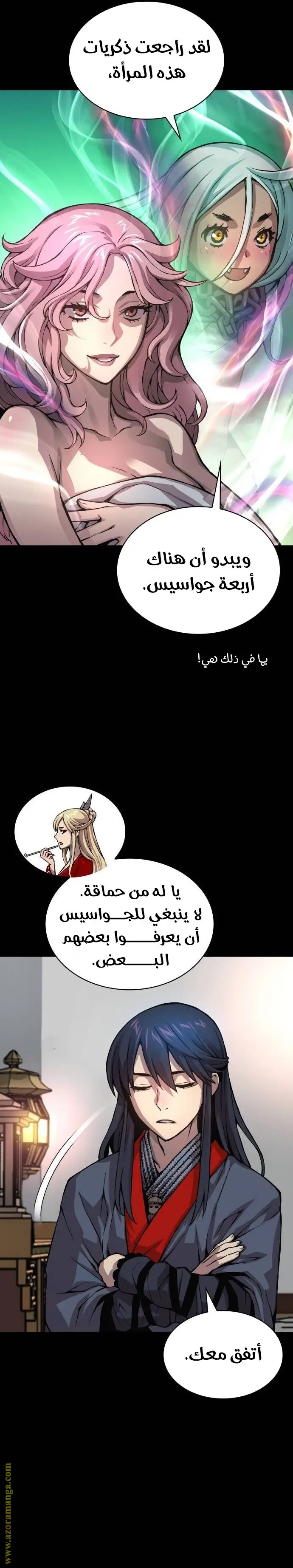 الصفحة 13