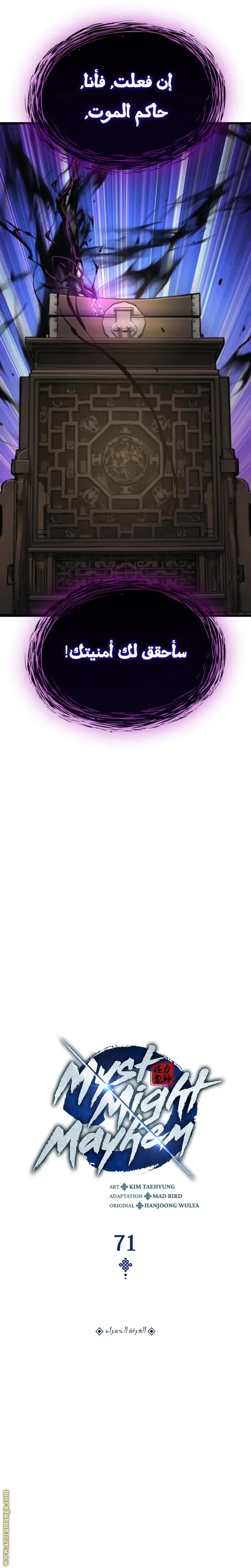 الصفحة 17