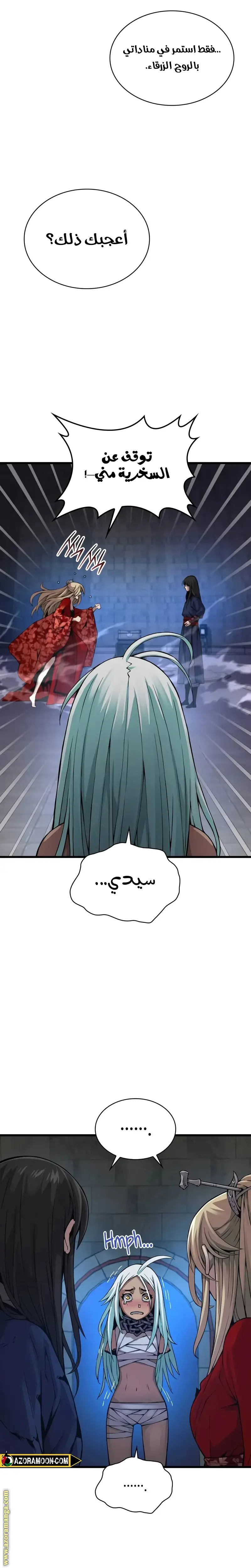 الصفحة 17