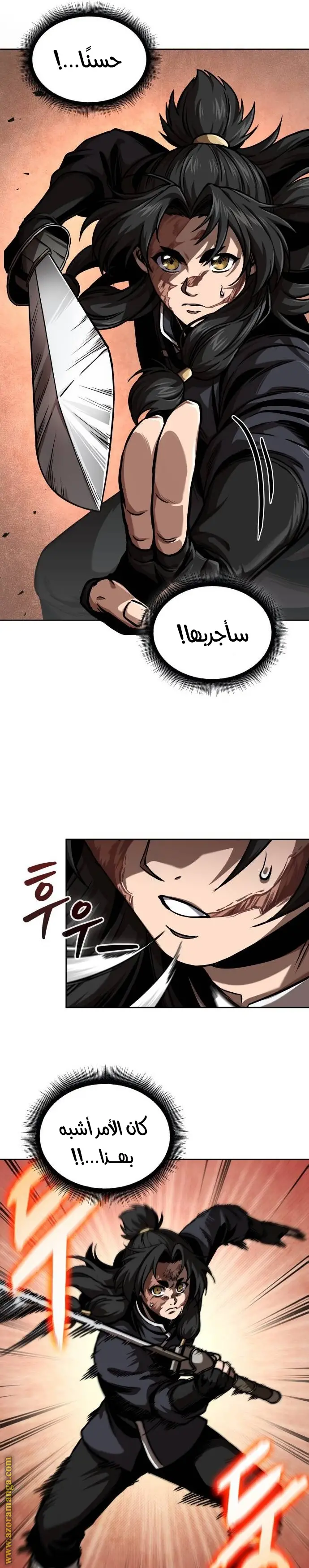 الصفحة 17