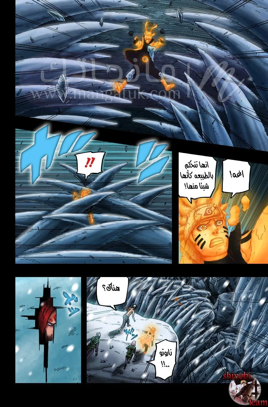 الصفحة 13