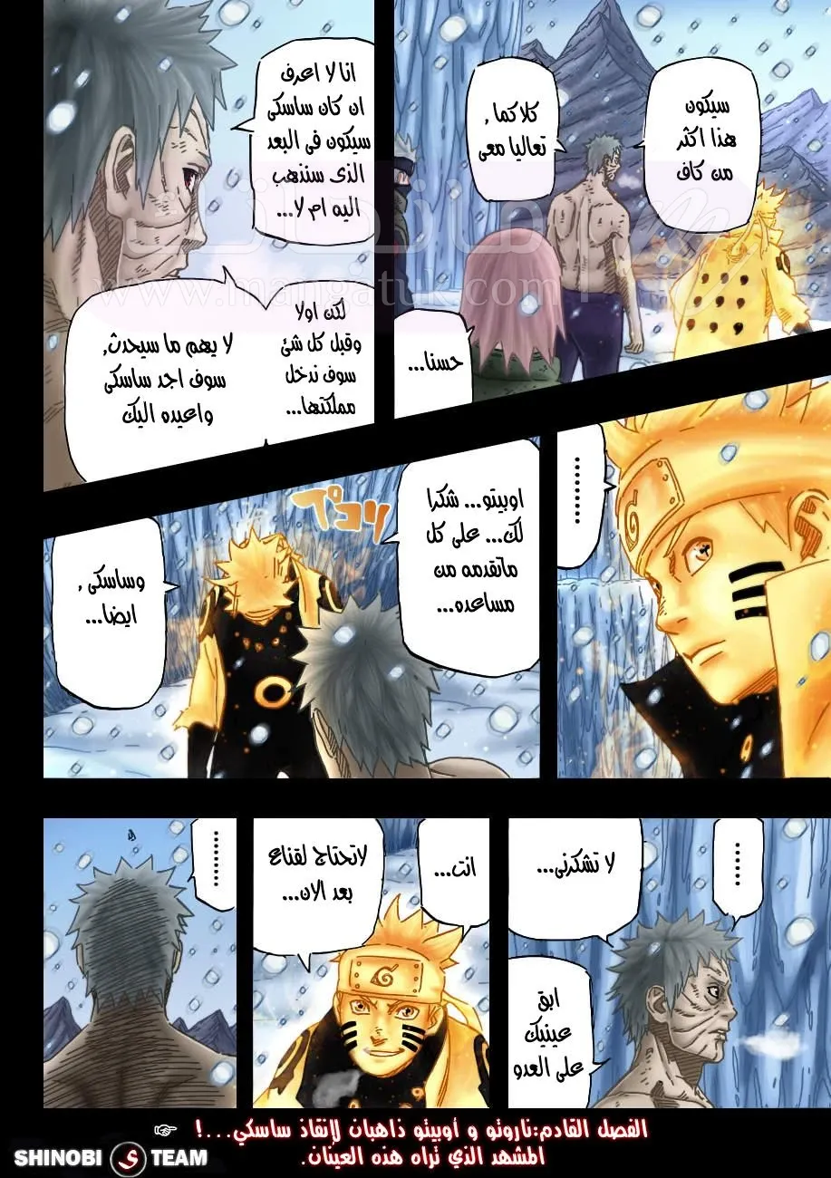 الصفحة 17