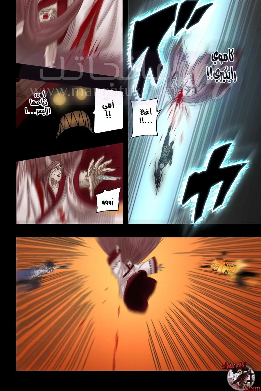 الصفحة 11