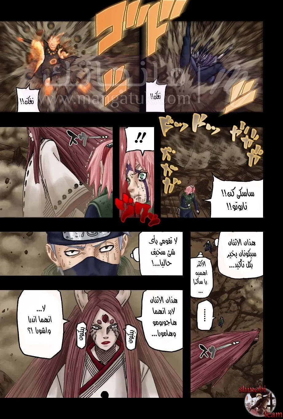 الصفحة 13