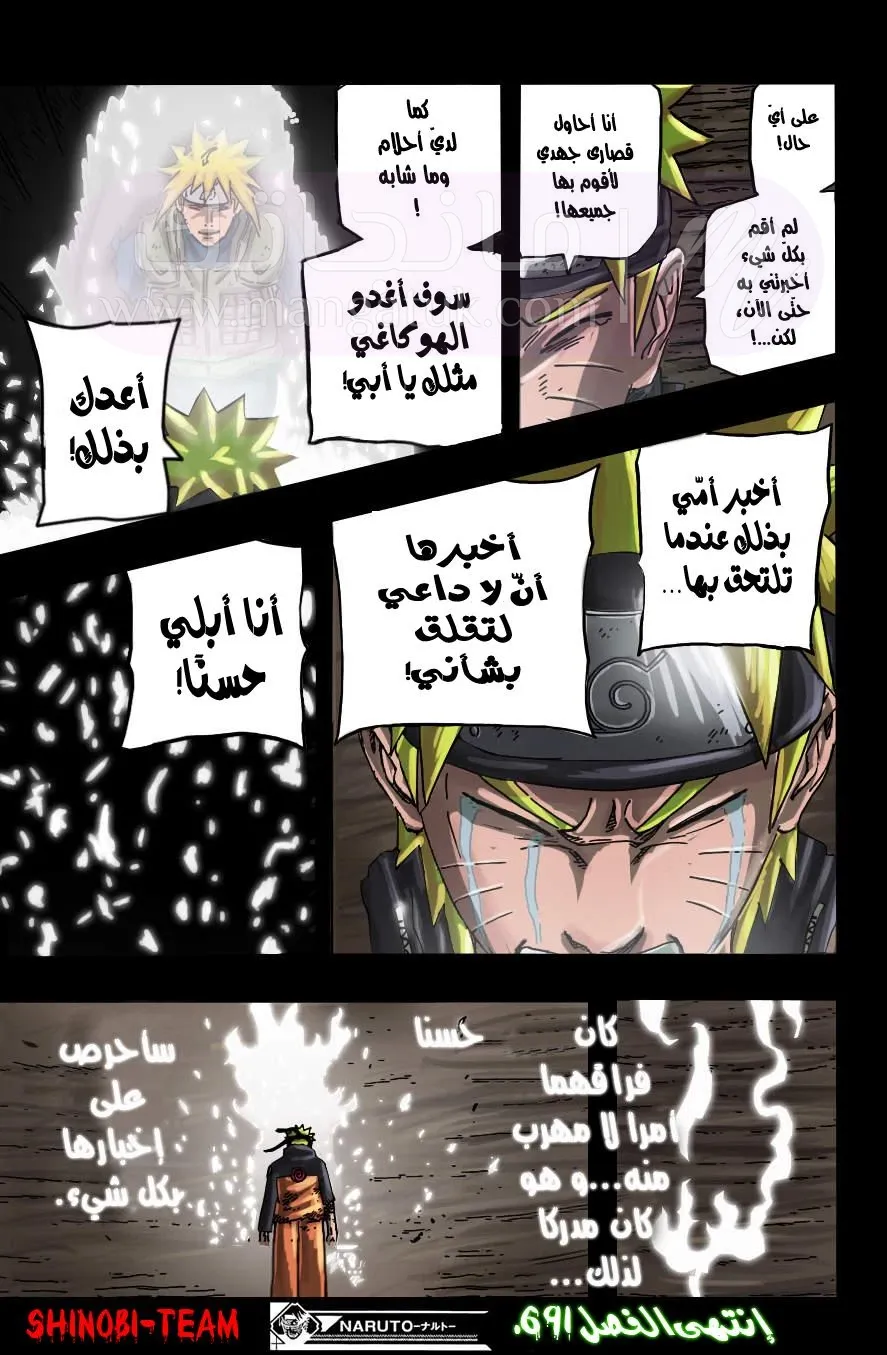 الصفحة 17